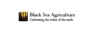 Black Sea Agriculture LLC